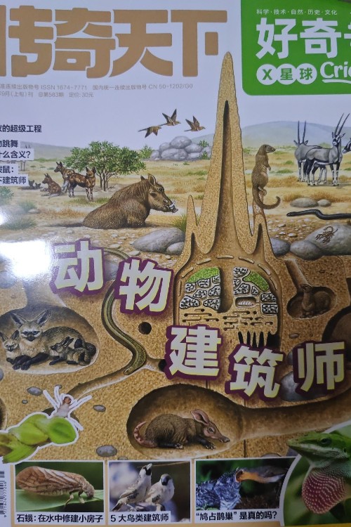 好奇號 2024年9月