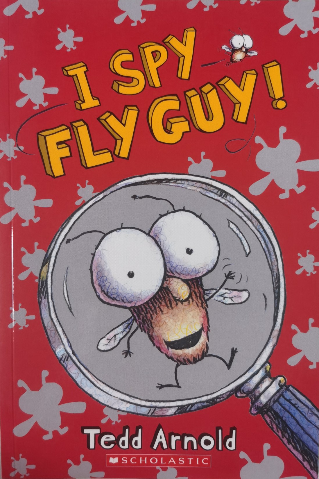 I Spy Fly Guy