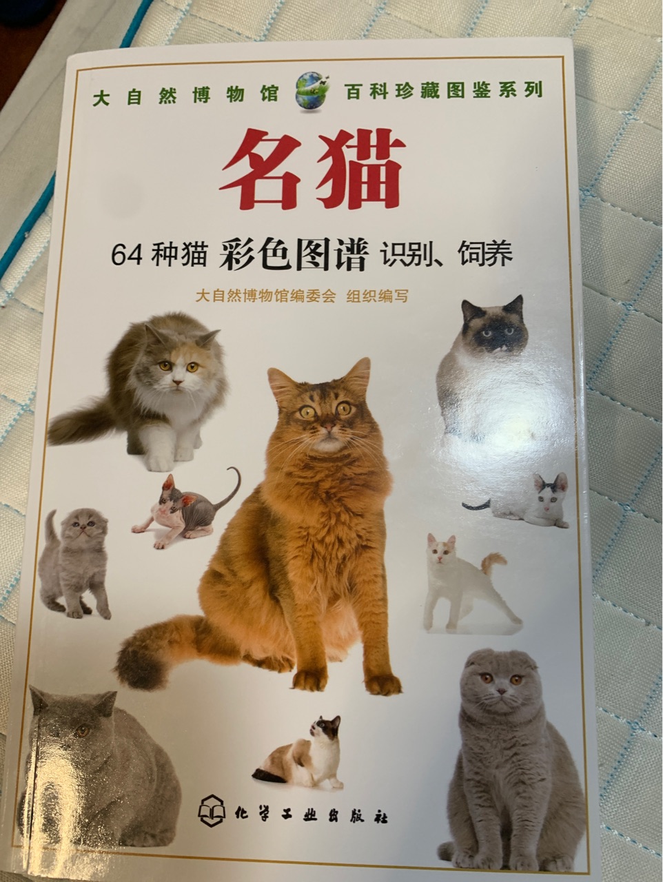 名猫