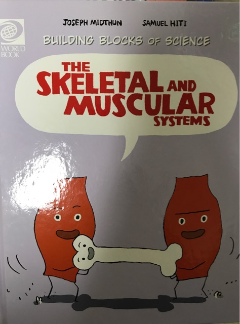 The Skeleton and Muscular Systems