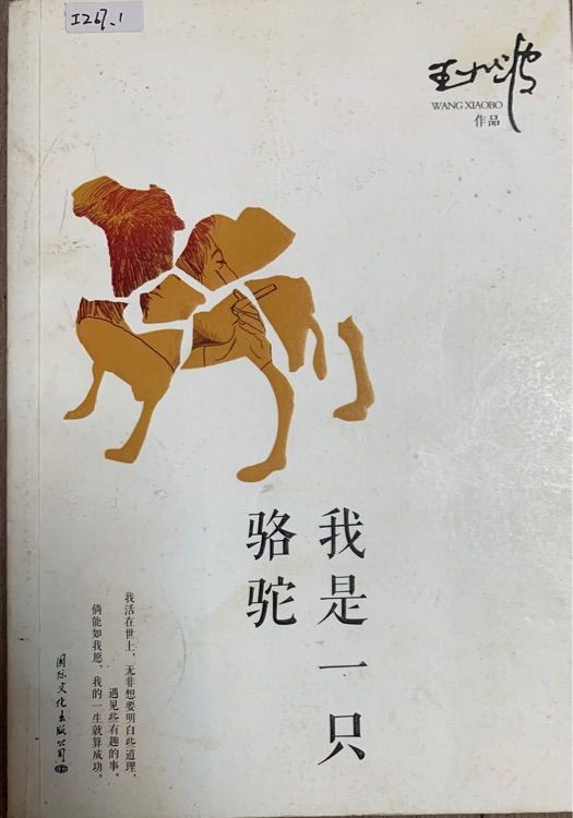 我是一只駱駝