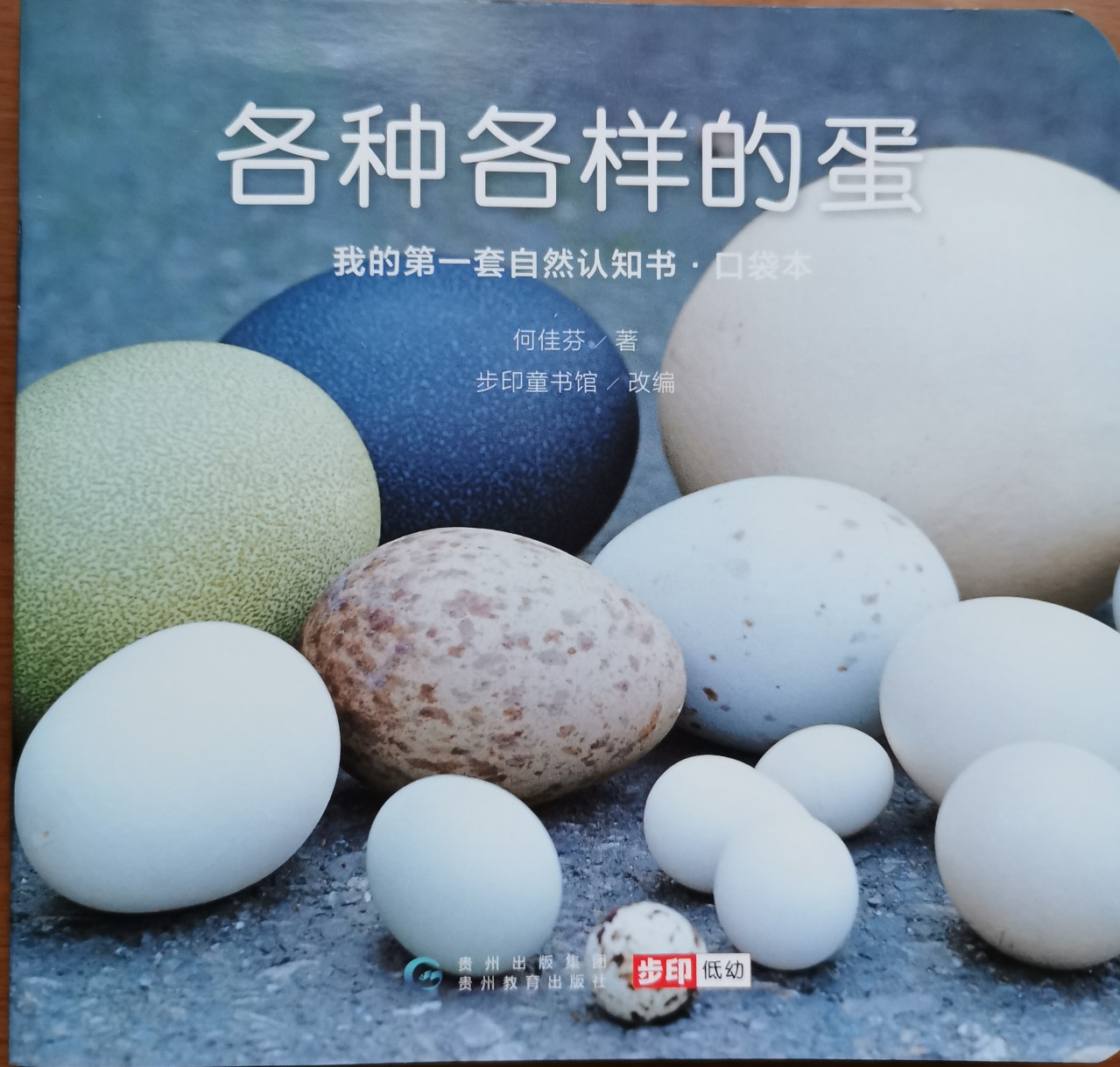 各種各樣的蛋