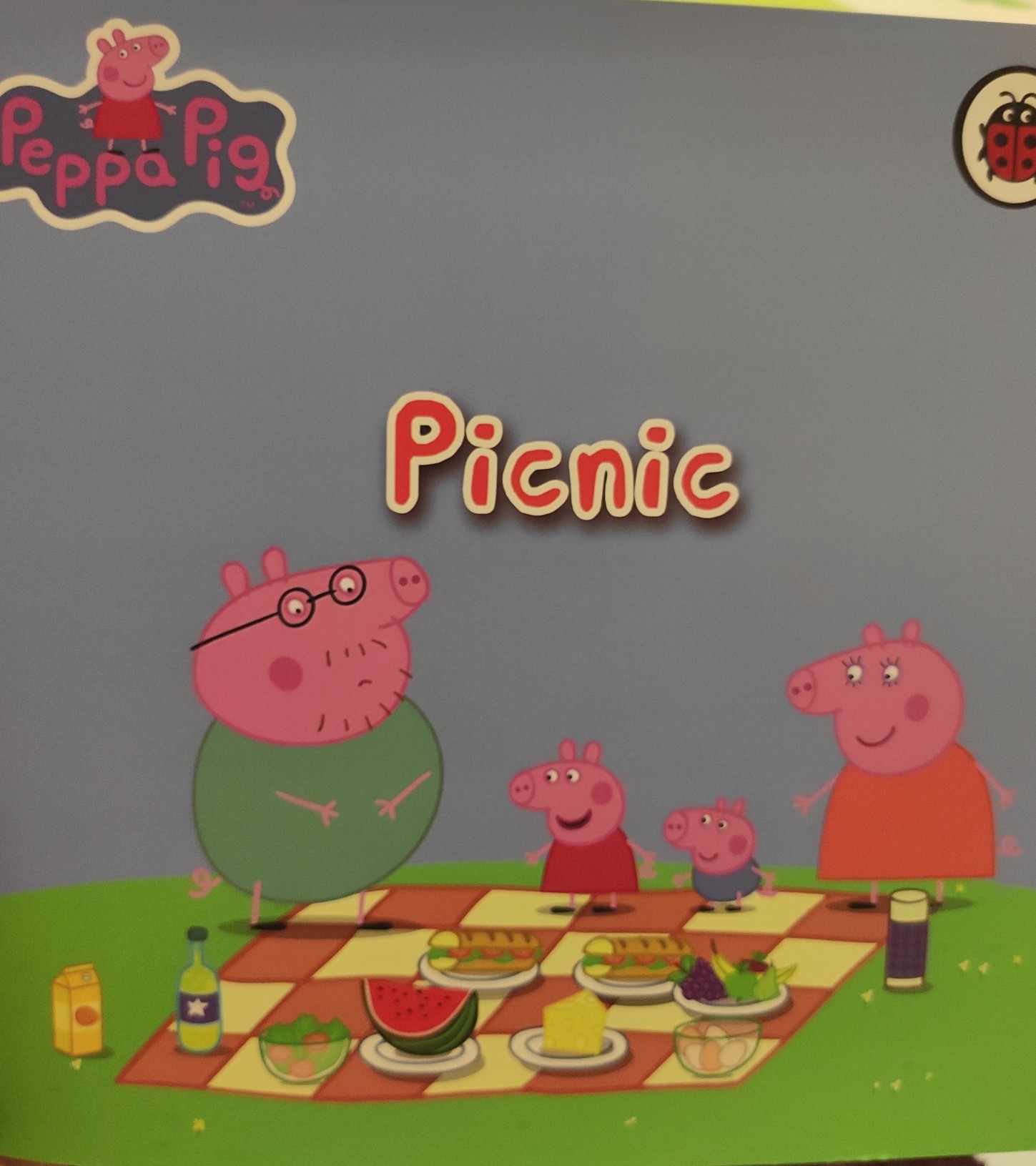 Peppa pig picnic