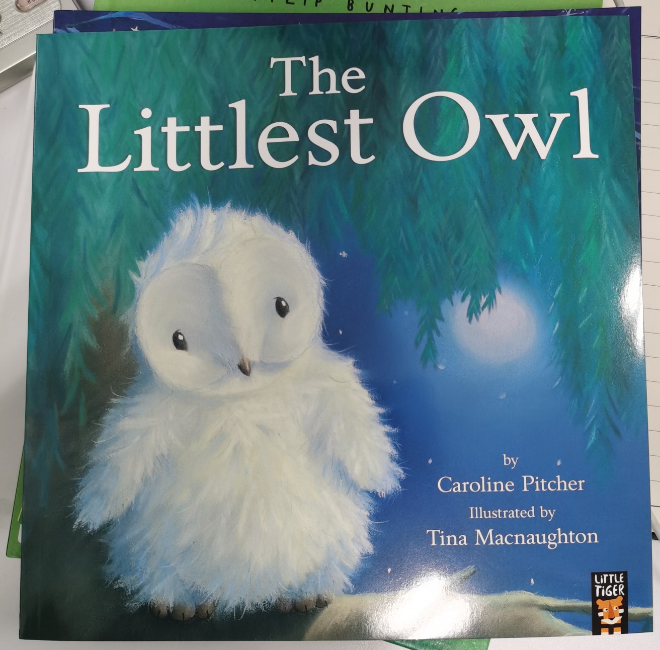 The Littlest Owl