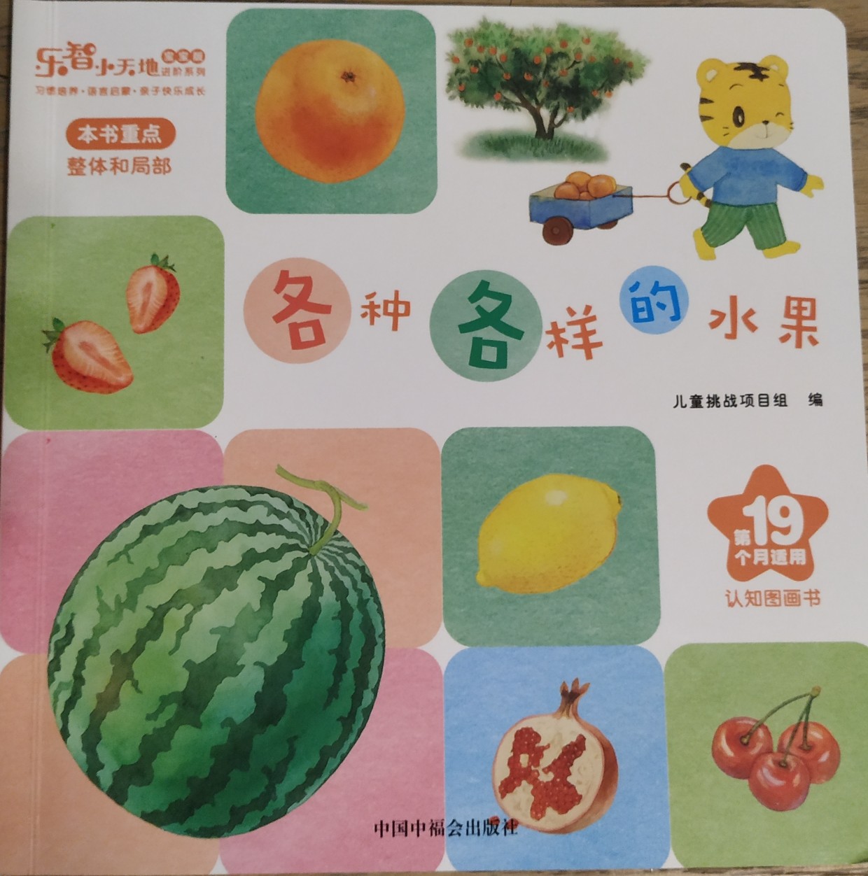 各種各樣的水果