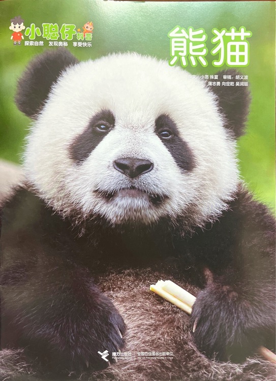 小聰仔2025年1月: 熊貓