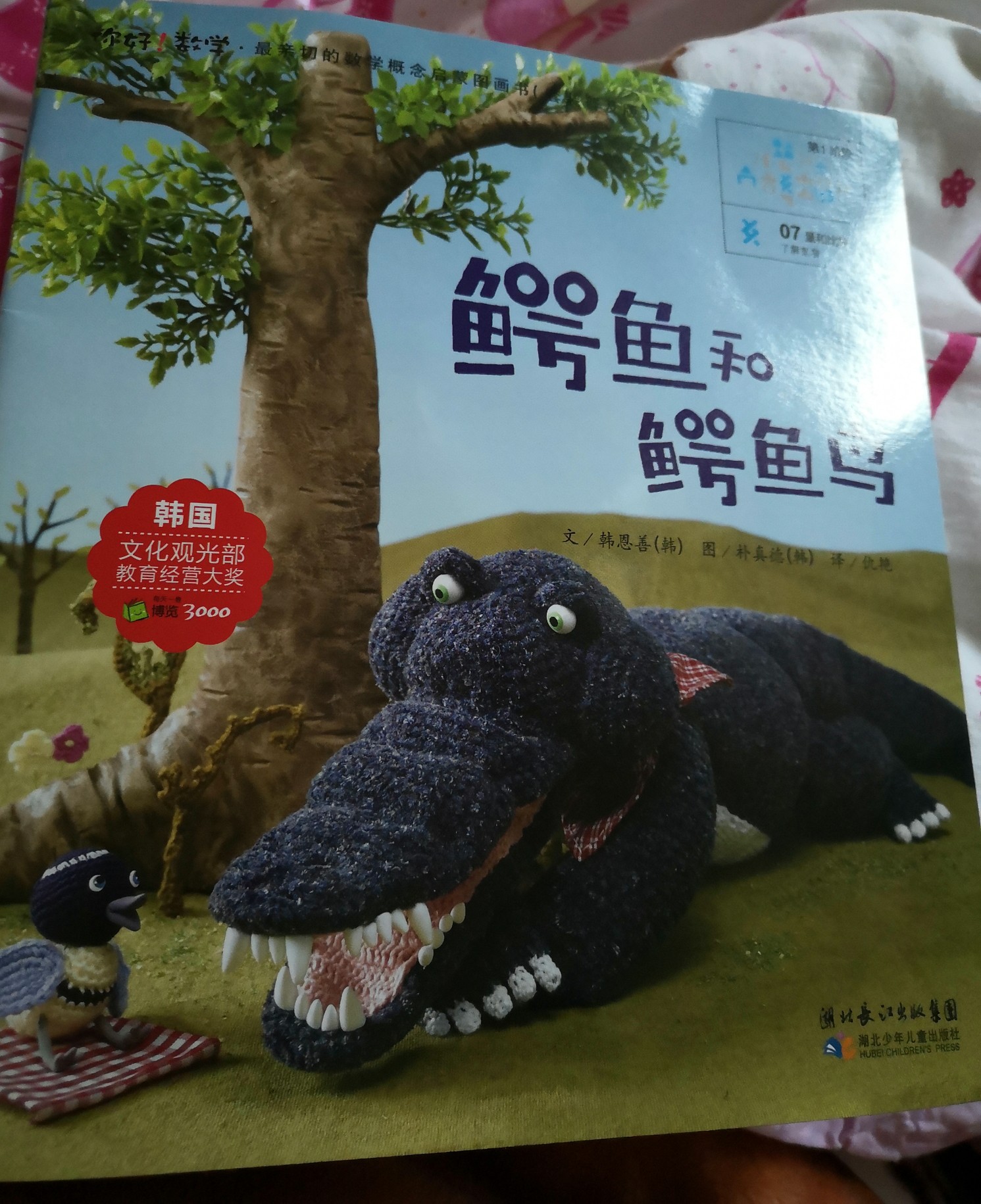 鳄鱼和鳄鱼鸟