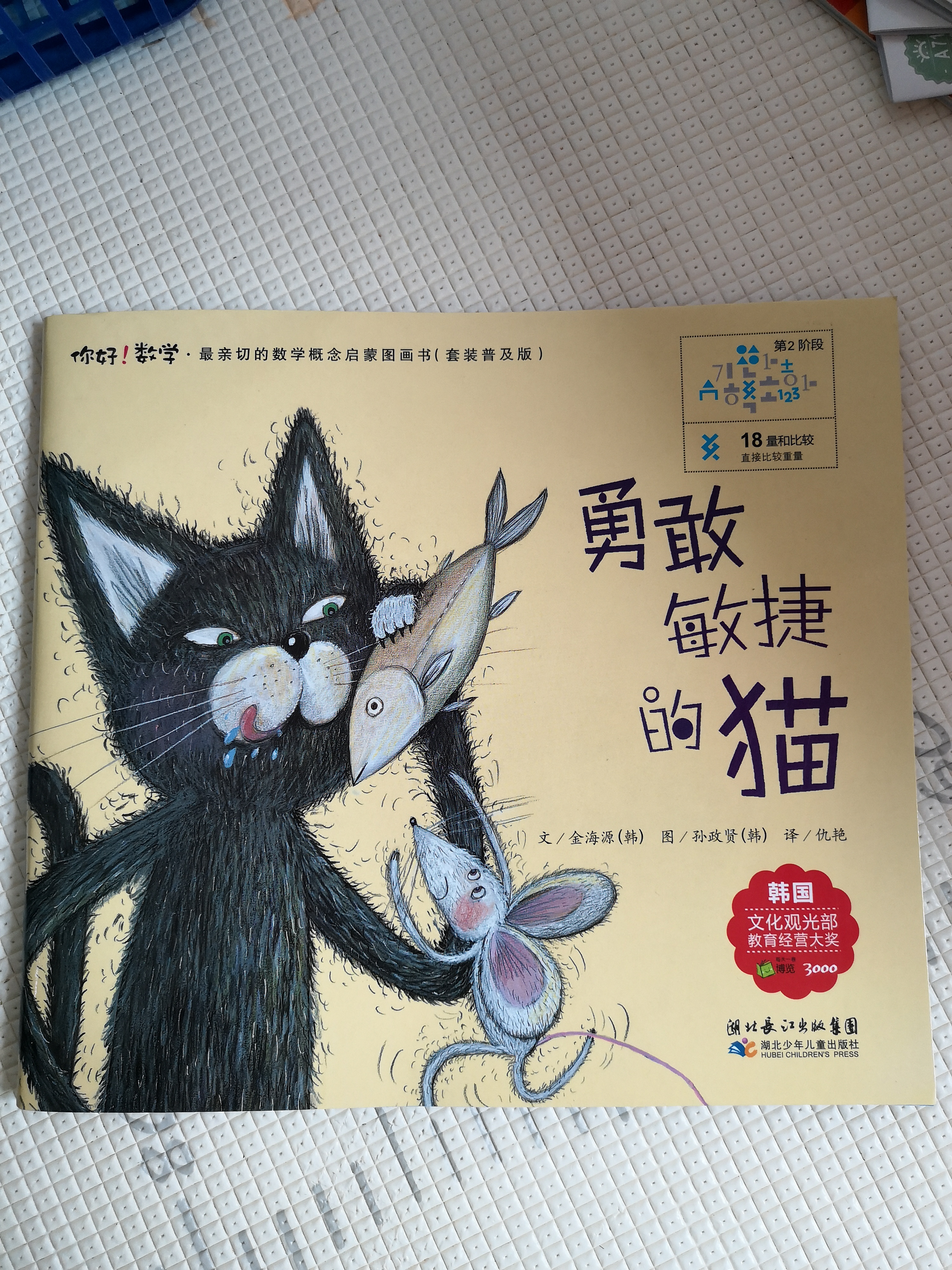 勇敢敏捷的猫
