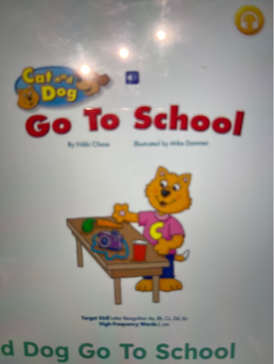 cat and dog go to school