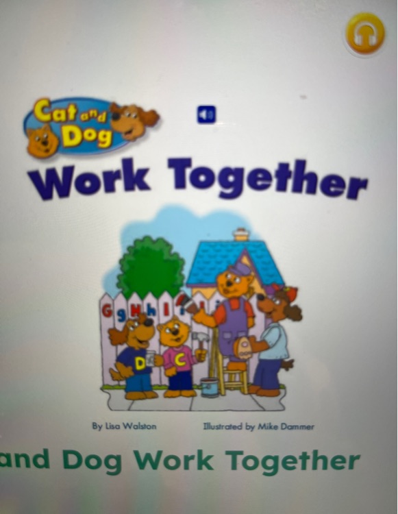 cat and dog work together