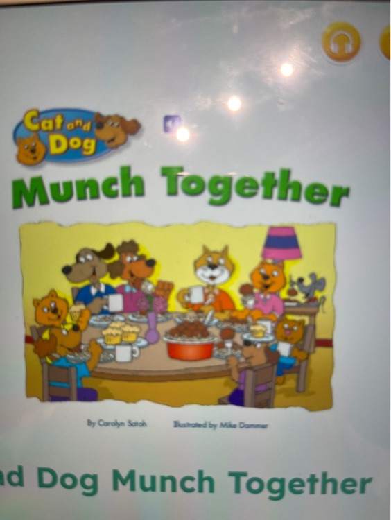 cat and dog munch together