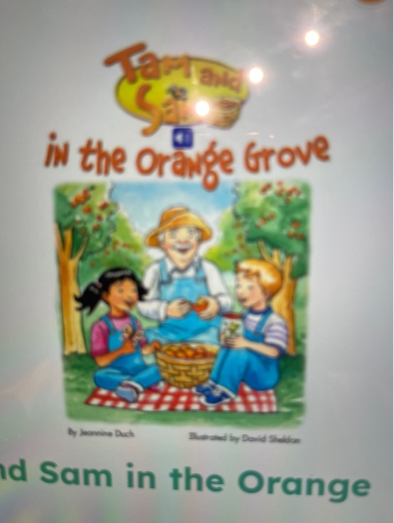 tam and sam in the orange grove