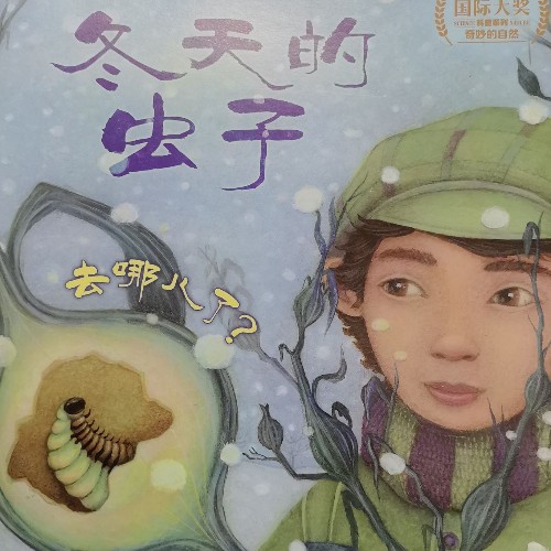 冬天的蟲(chóng)子去哪兒了