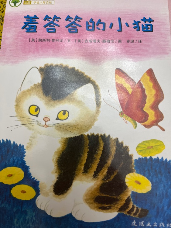 羞答答的小貓