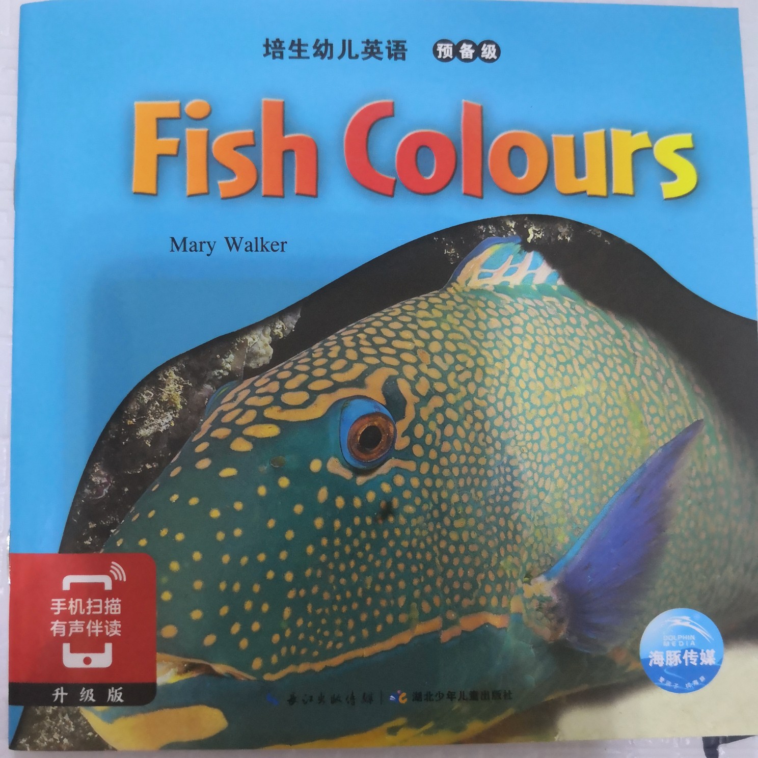 Fish Colours