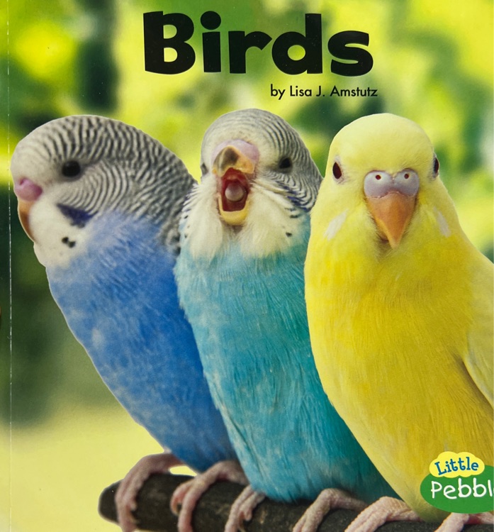 Birds