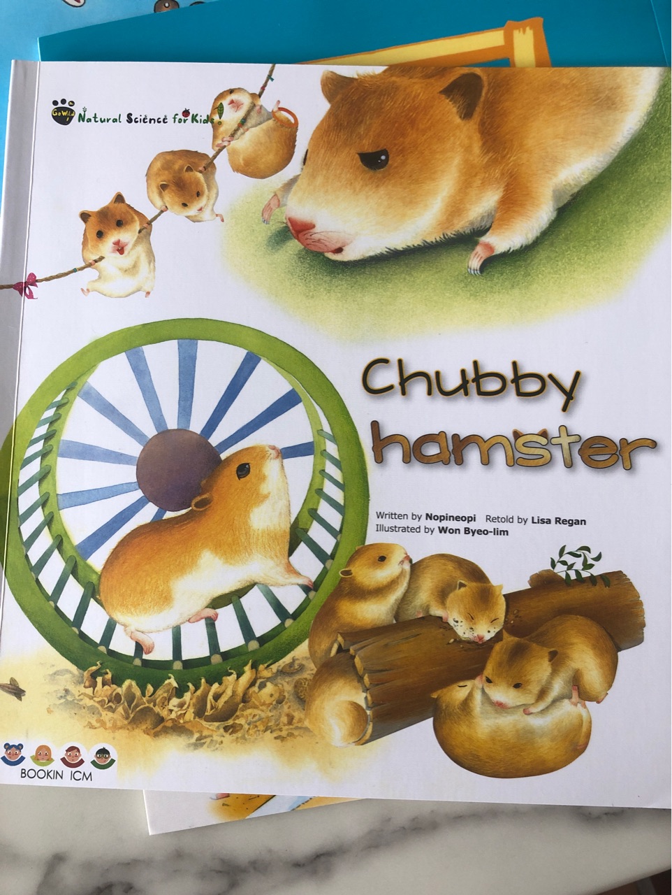 Chubby hamster