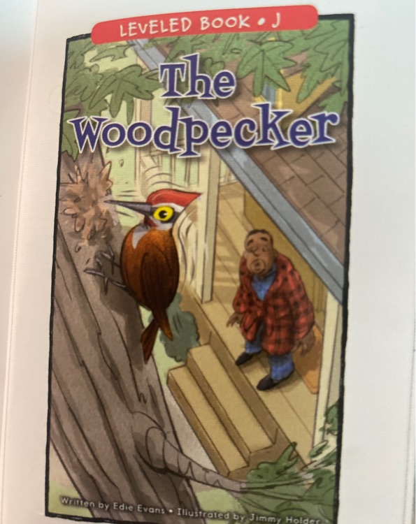 The wooderpecker