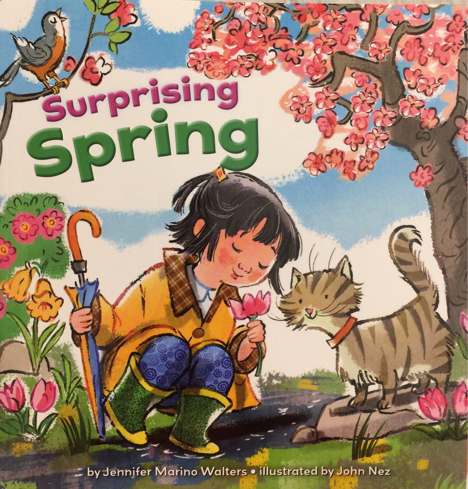 Surprising Spring