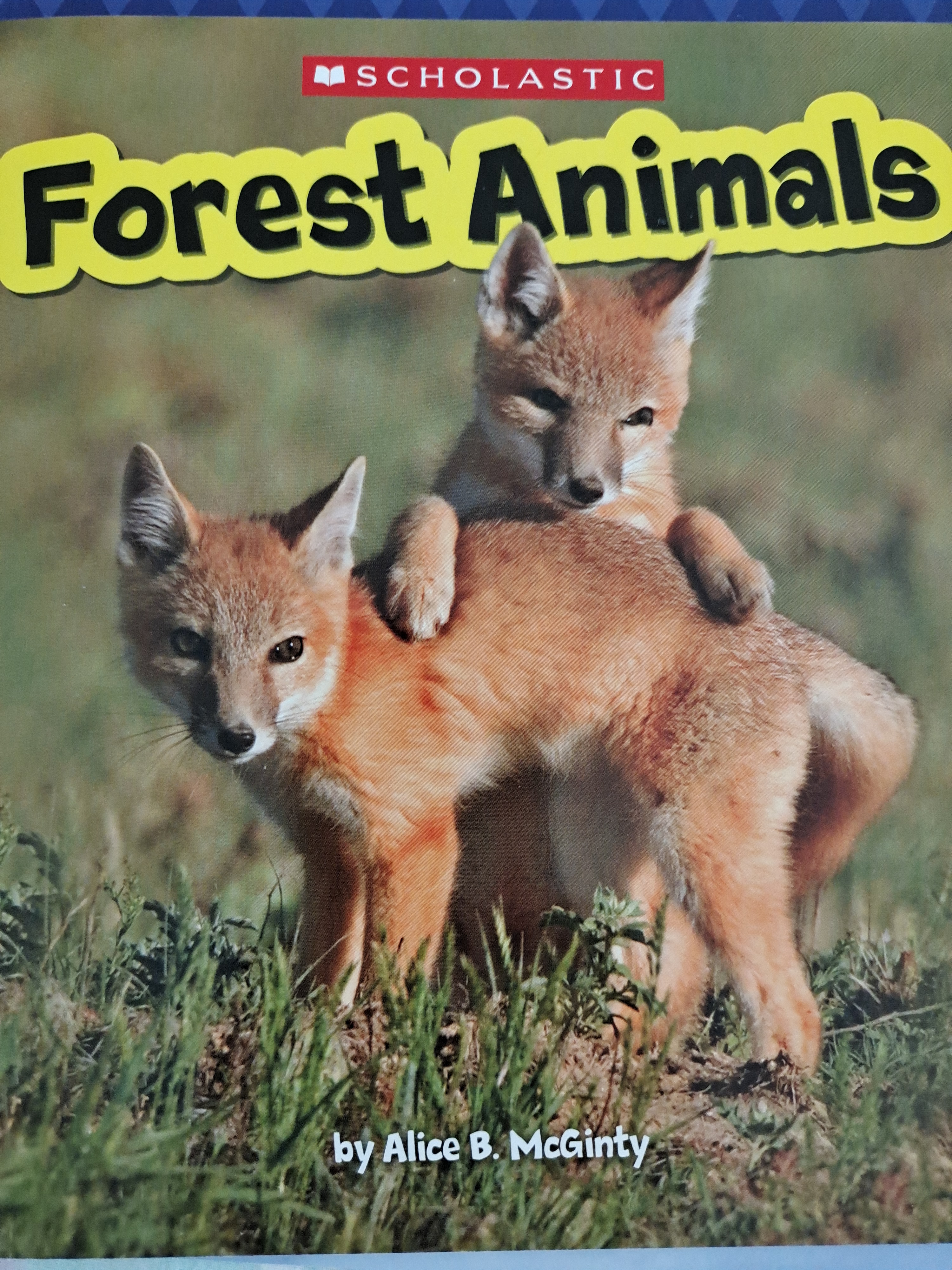 forest animals