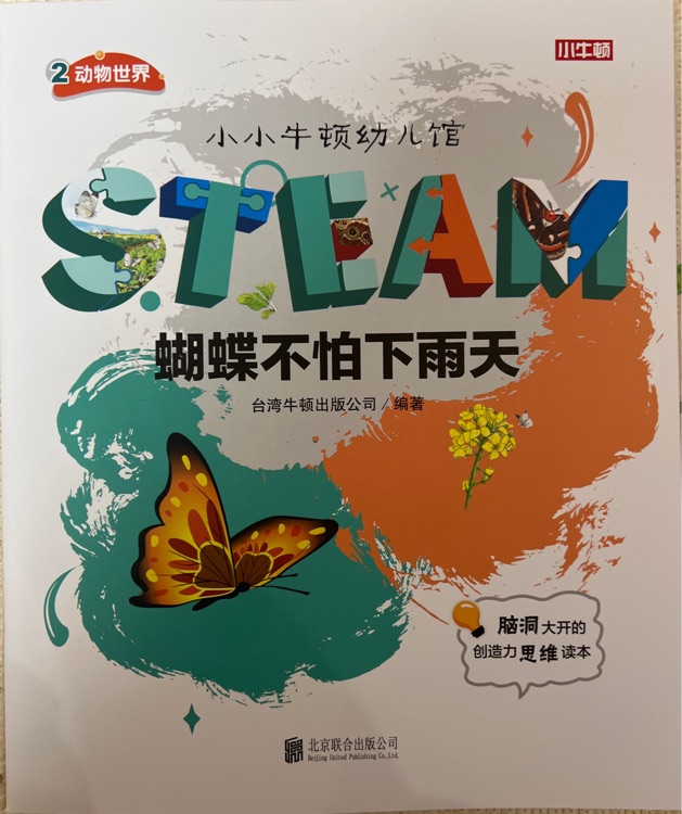 蝴蝶不怕下雨天