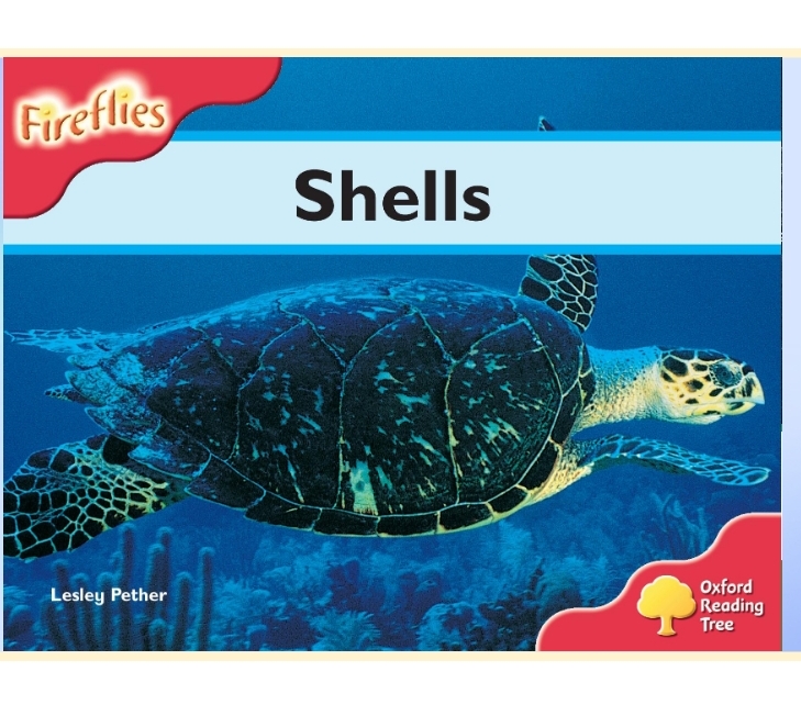 3.Shells