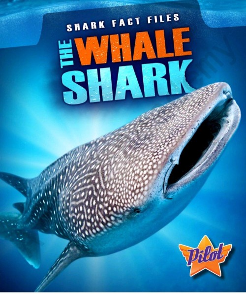 The Whale Shark