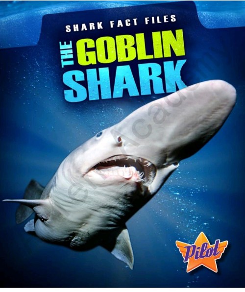 The Goblin Shark