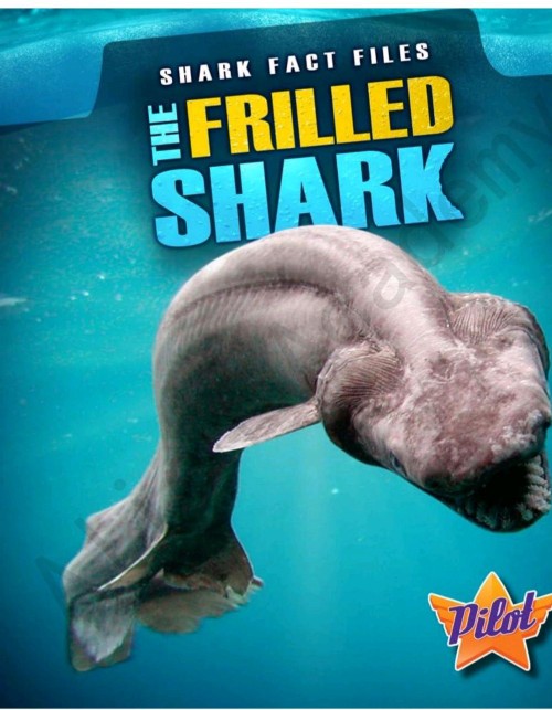 The Frilled Shark