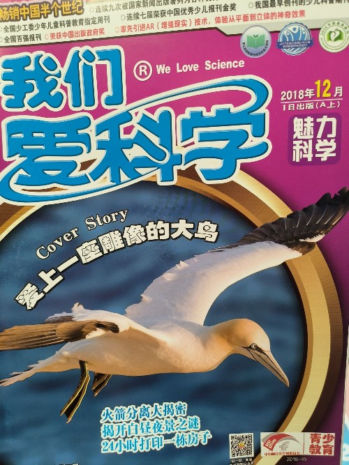 我们爱科学2018.12