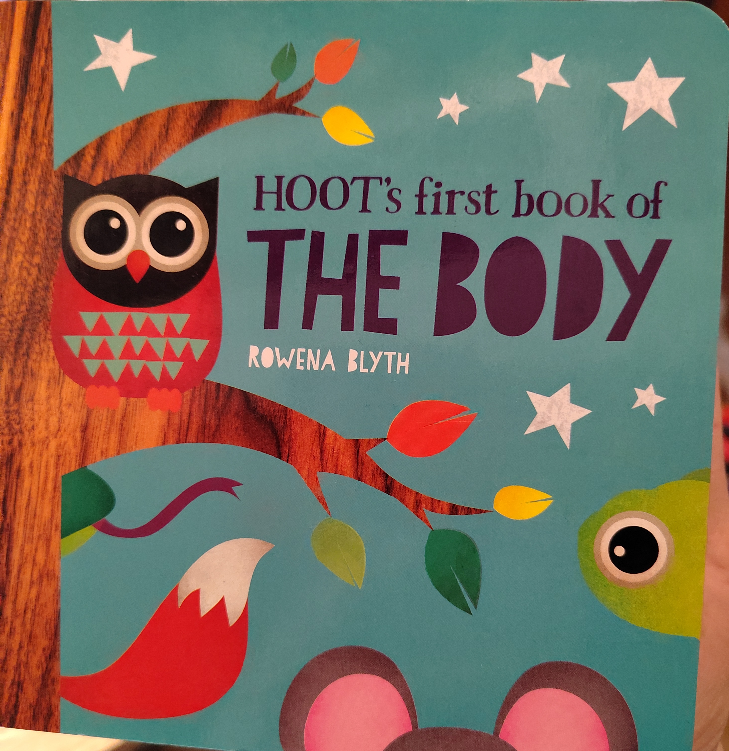 hoot's first book of the body