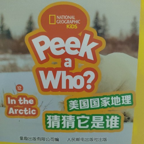 Peek a Who-12 In the Arctic