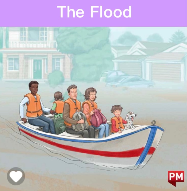 The Flood