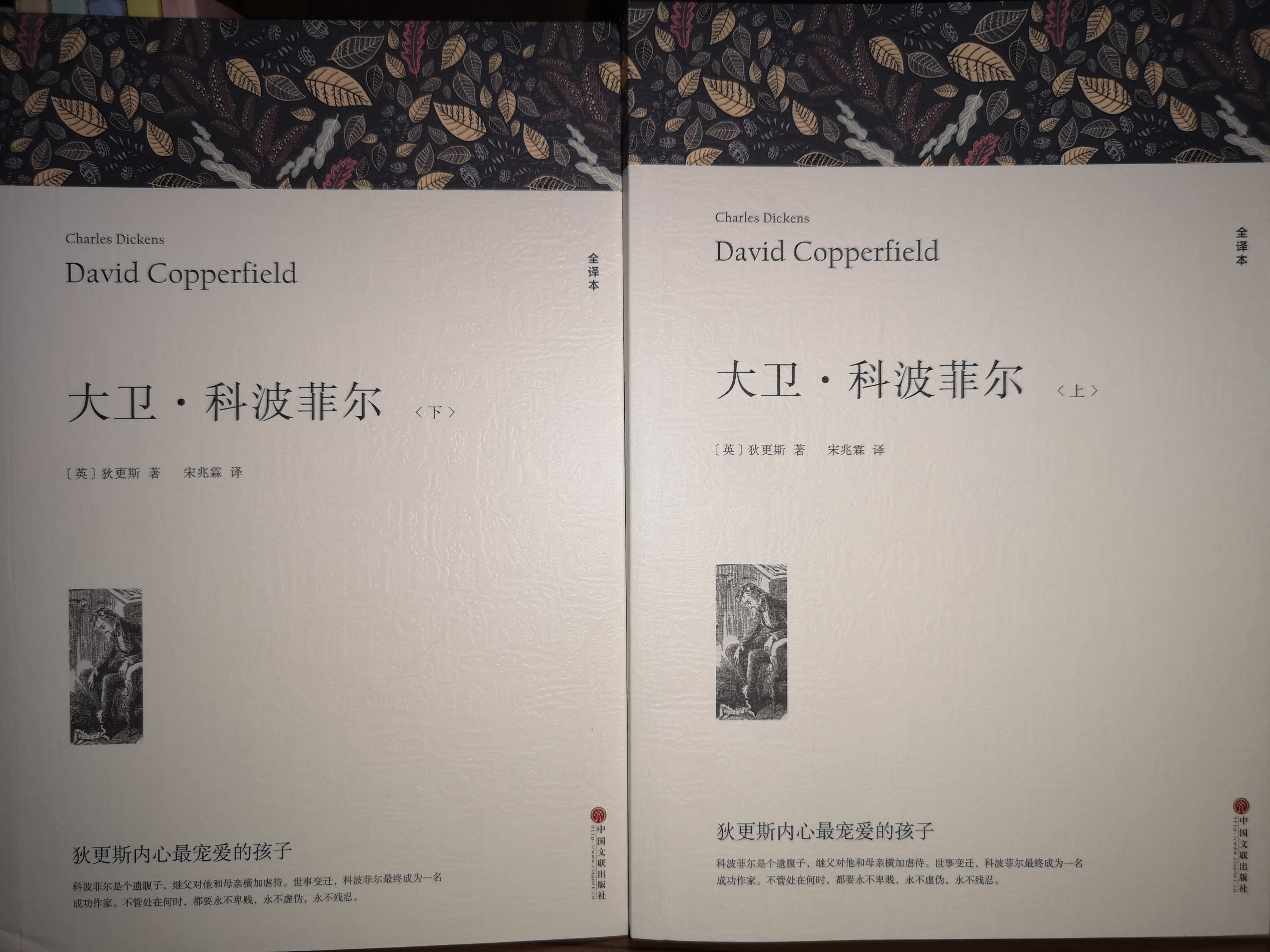 大衛(wèi)?科波菲爾(全譯本)(上下)