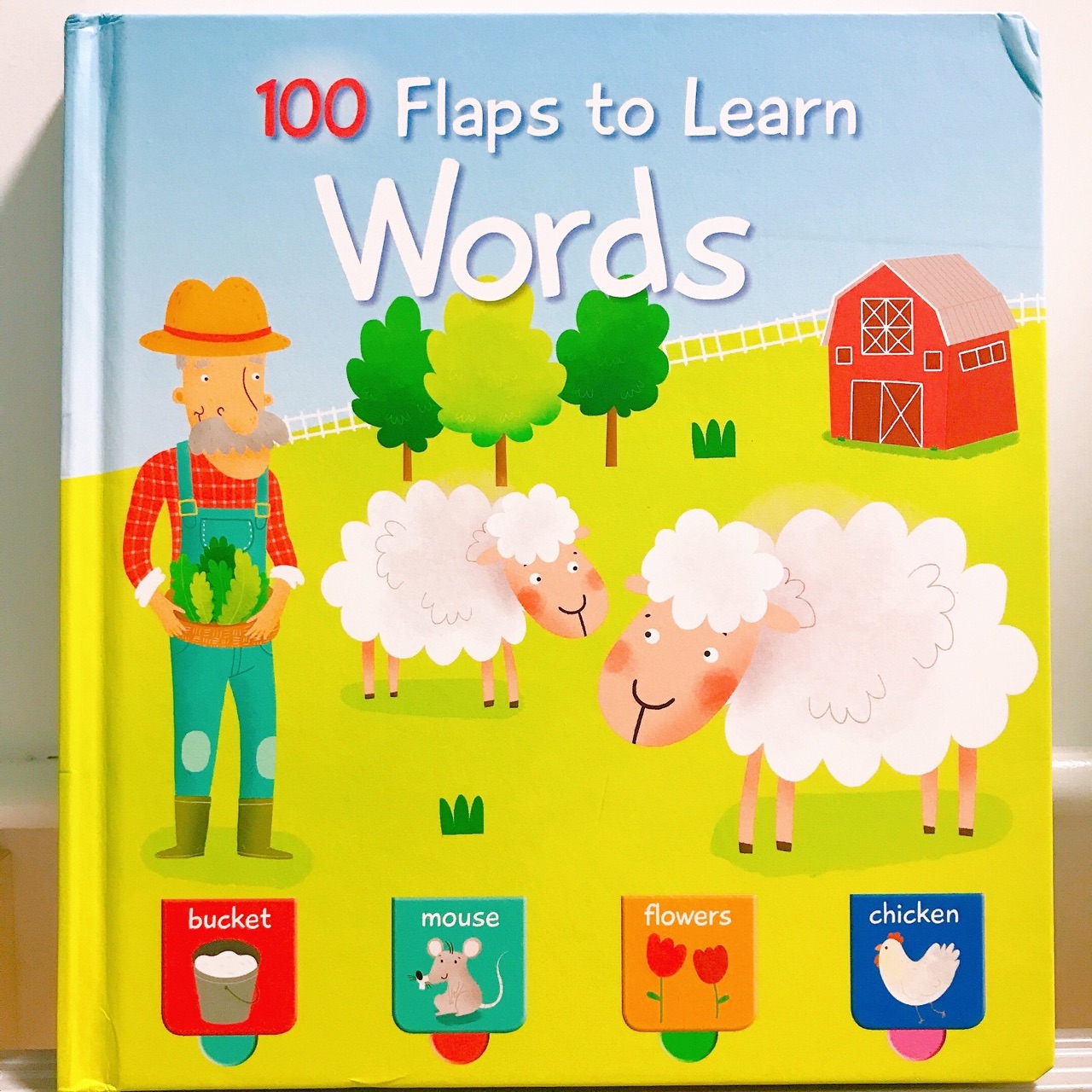 100 Flaps to Learn Words