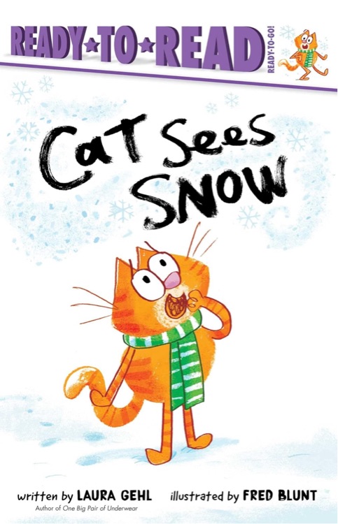 Cat Sees Snow