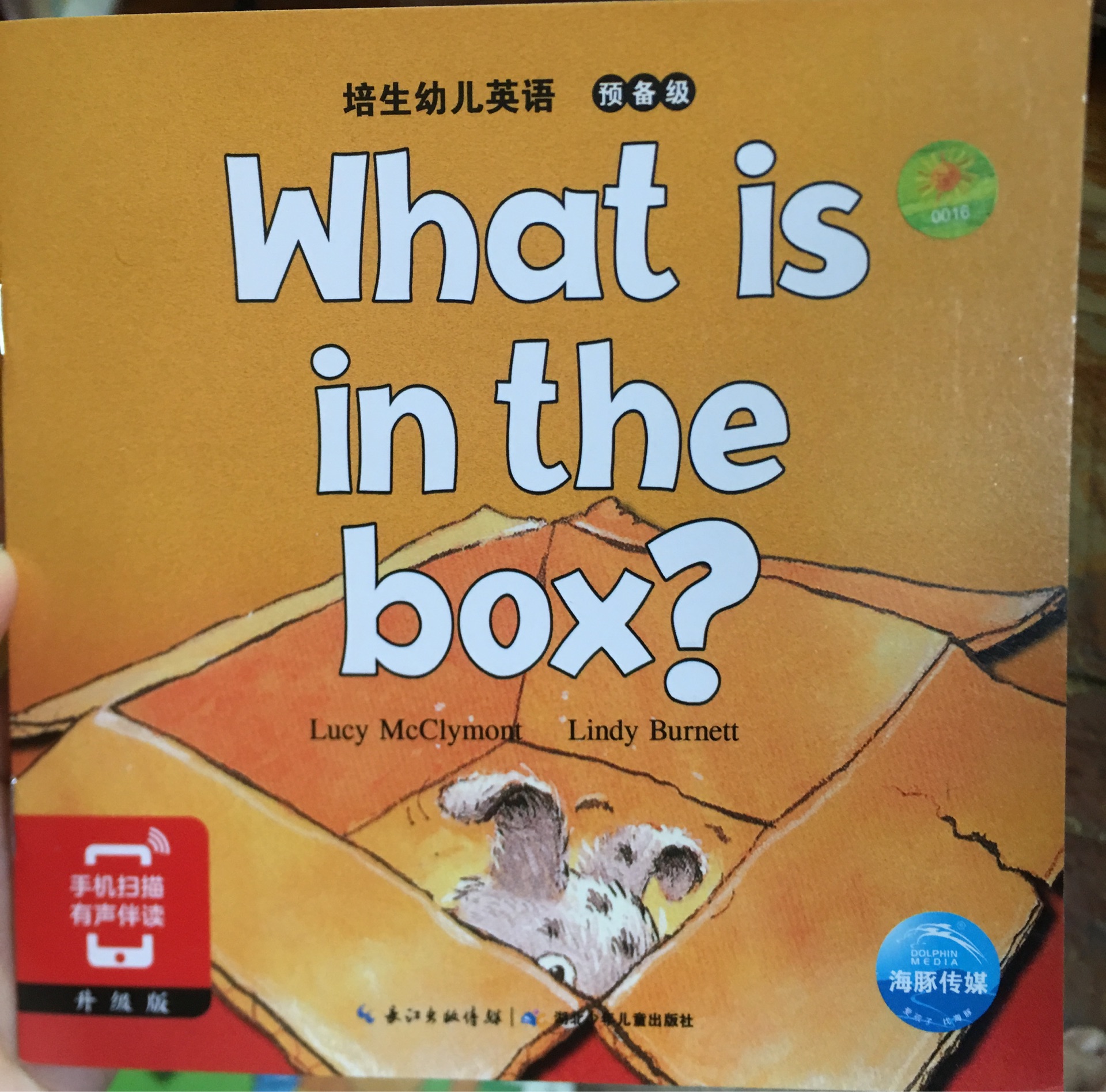 What is in the box