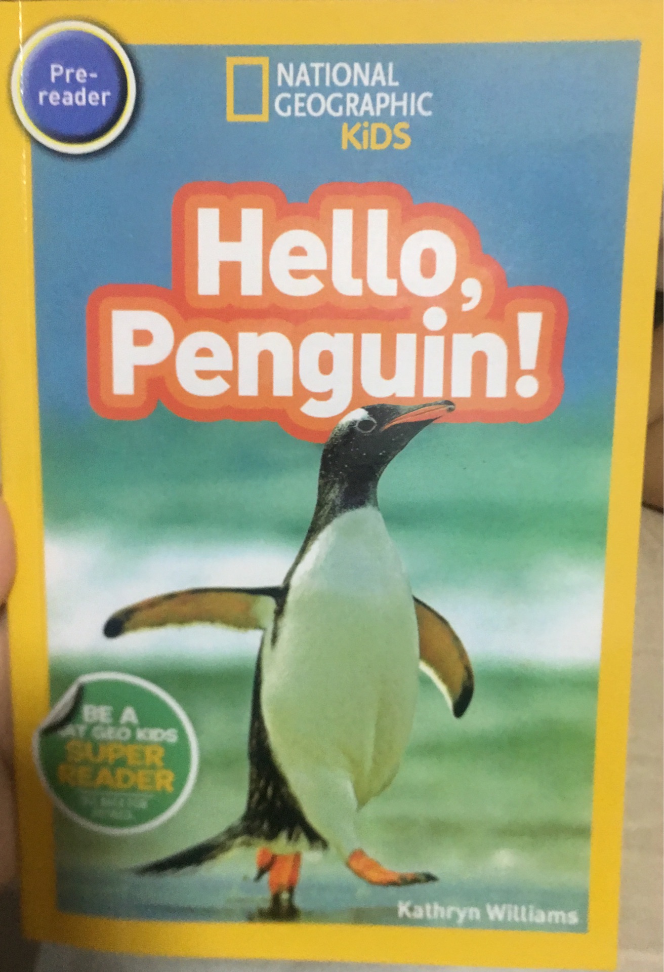 Hello , penguin!