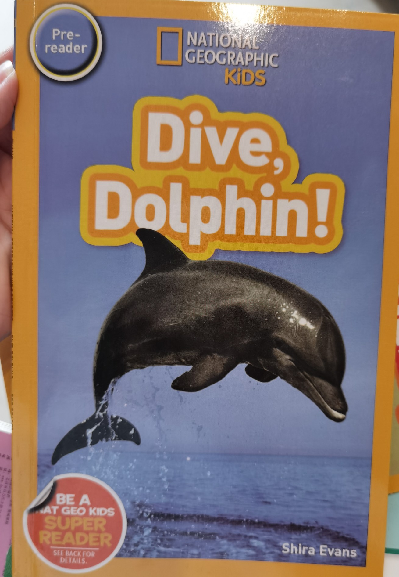 Dive, dolphin