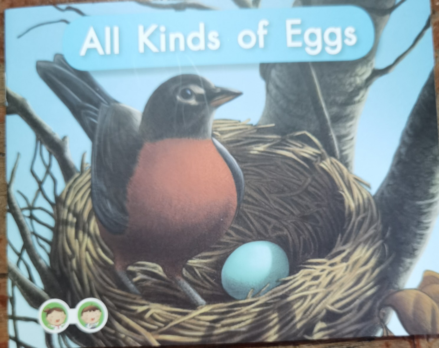 All kinds of eggs