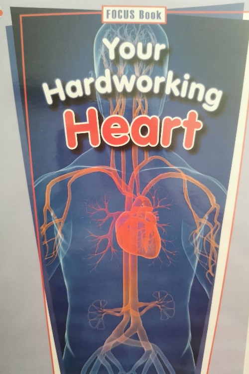 Your Hardworking Heart