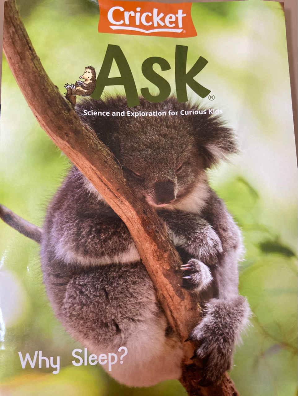 Ask2021年一月刊