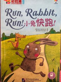 run, rabbit, run