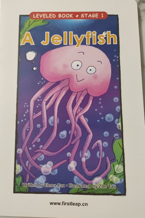a jellyfish
