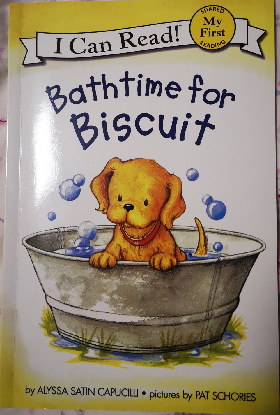 Bathtime for Biscuit