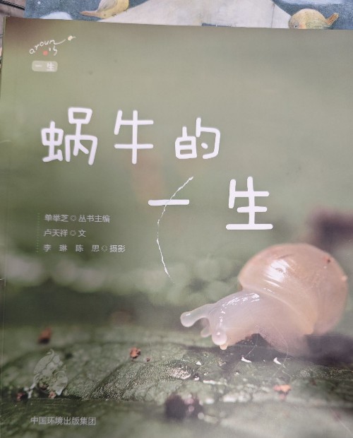 蝸牛的一生