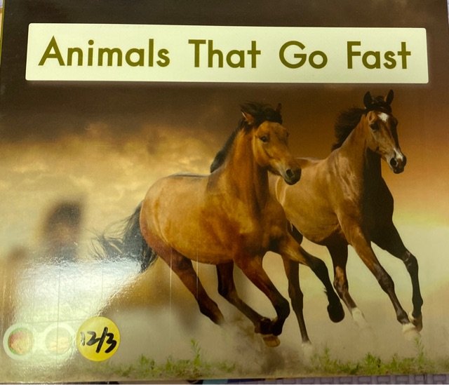 animals that go fast