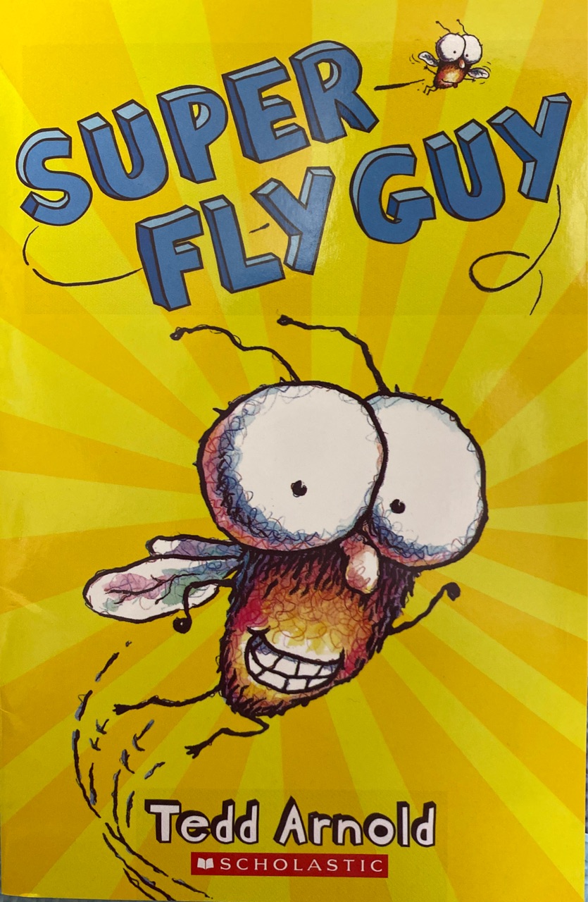 SUPER FLY GUY(FLY GUY#2)