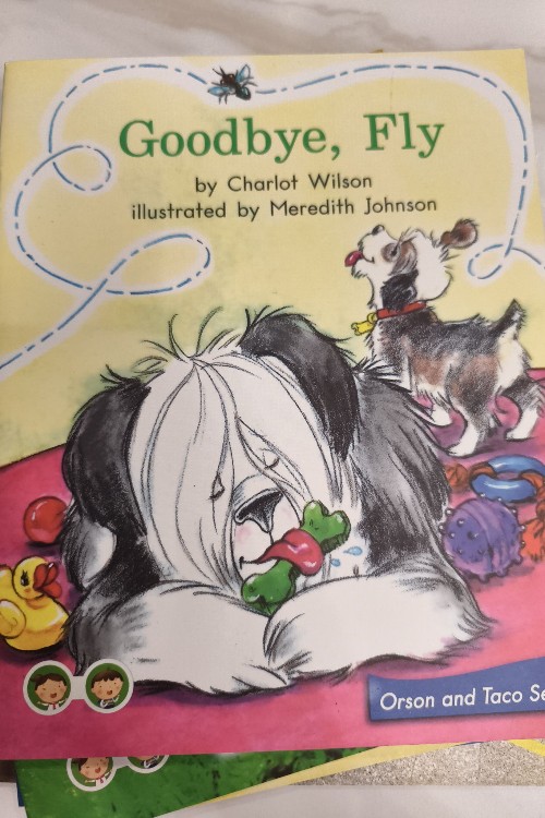 Goodbye,Fly