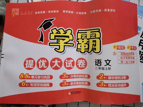 學(xué)霸提優(yōu)大試卷 語(yǔ)文二上